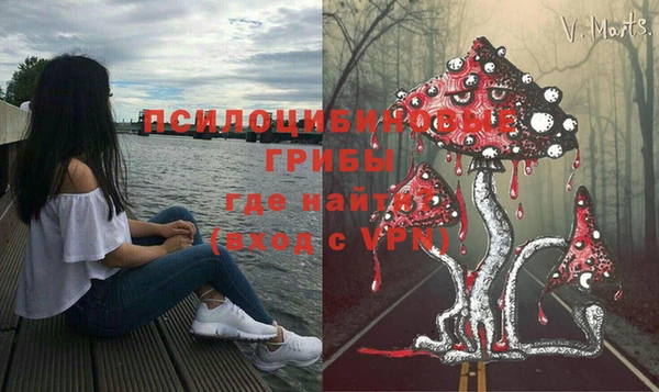 таблы Гусиноозёрск