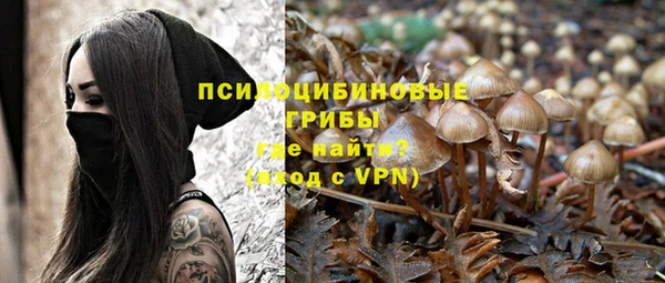таблы Гусиноозёрск